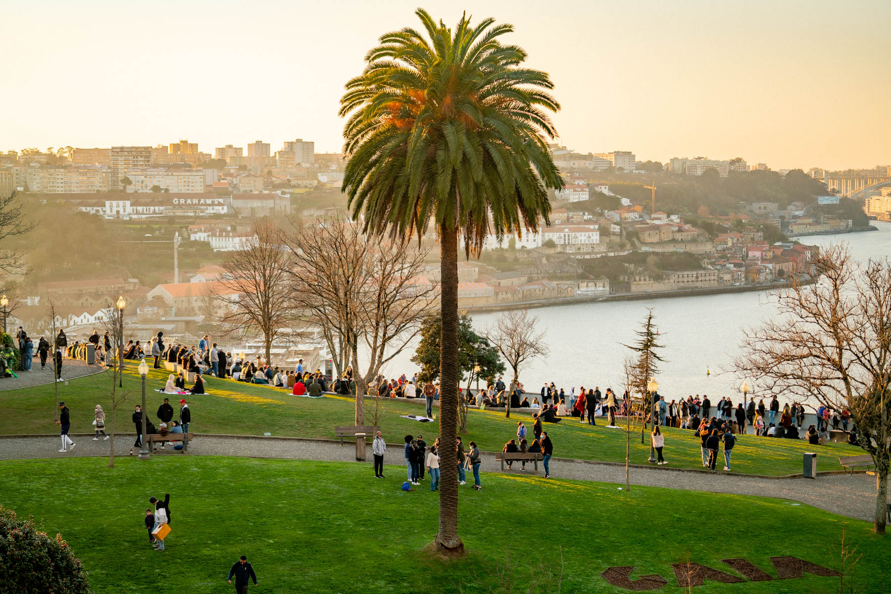 Porto From Jardim Do Morro
Best things to do Porto